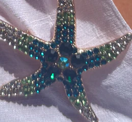 Alora Embellished Starfish Brooch - Turquoise - Image 5