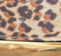 Ash Belt - Leopard - Image 4