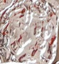 Athena Layered Necklace - Image 7