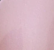 Blair Hair Claw - Pink - Image 5
