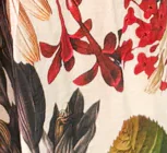 Clairemont Dress - Lily Floral - Image 14