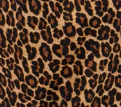 Daniela Dress - Leopard - Image 11