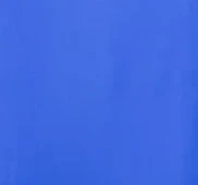 Peyton Shirt Dress - Cobalt Blue - Image 7