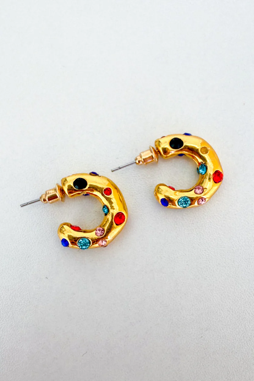 Raina Embellished Earrings - Multi - Image 4