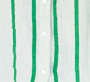 Rani Shirt - Green Stripe - Image 14