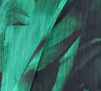 Sian Shirt - Forest Green - Image 15