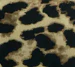 The Best Tights Ever - Large Leopard - Image 11