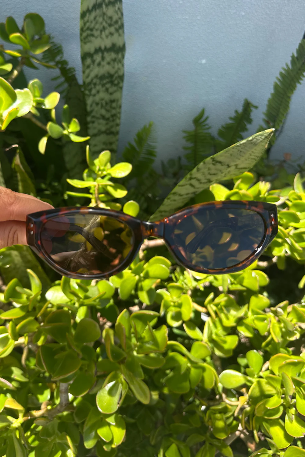The Cateye Foldie Sunglasses - Tort - Image 3