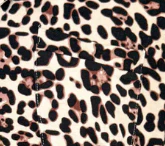 The Comfiest PJs Shirt & Short Set - Leopard - Image 12