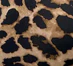 The Flarey Tights - Large Leopard - Image 21