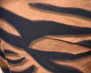 The Flarey Tights - Tiger Print - Image 15
