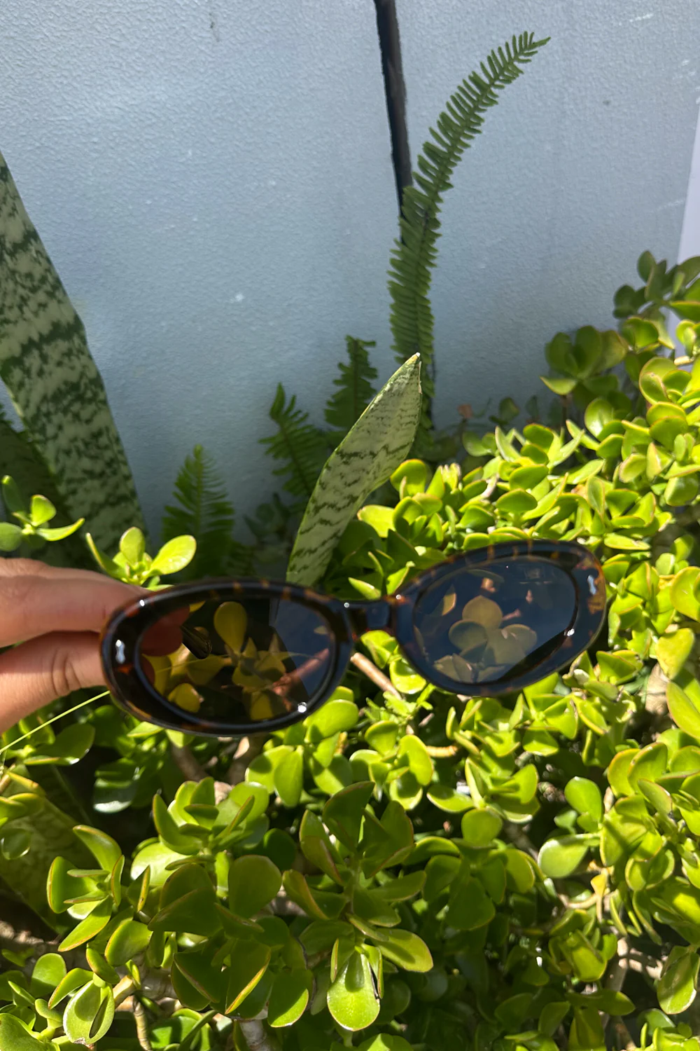 The Slimline Foldie Sunglasses - Tort - Image 2