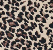 Zoella Skirt - Leopard - Image 10